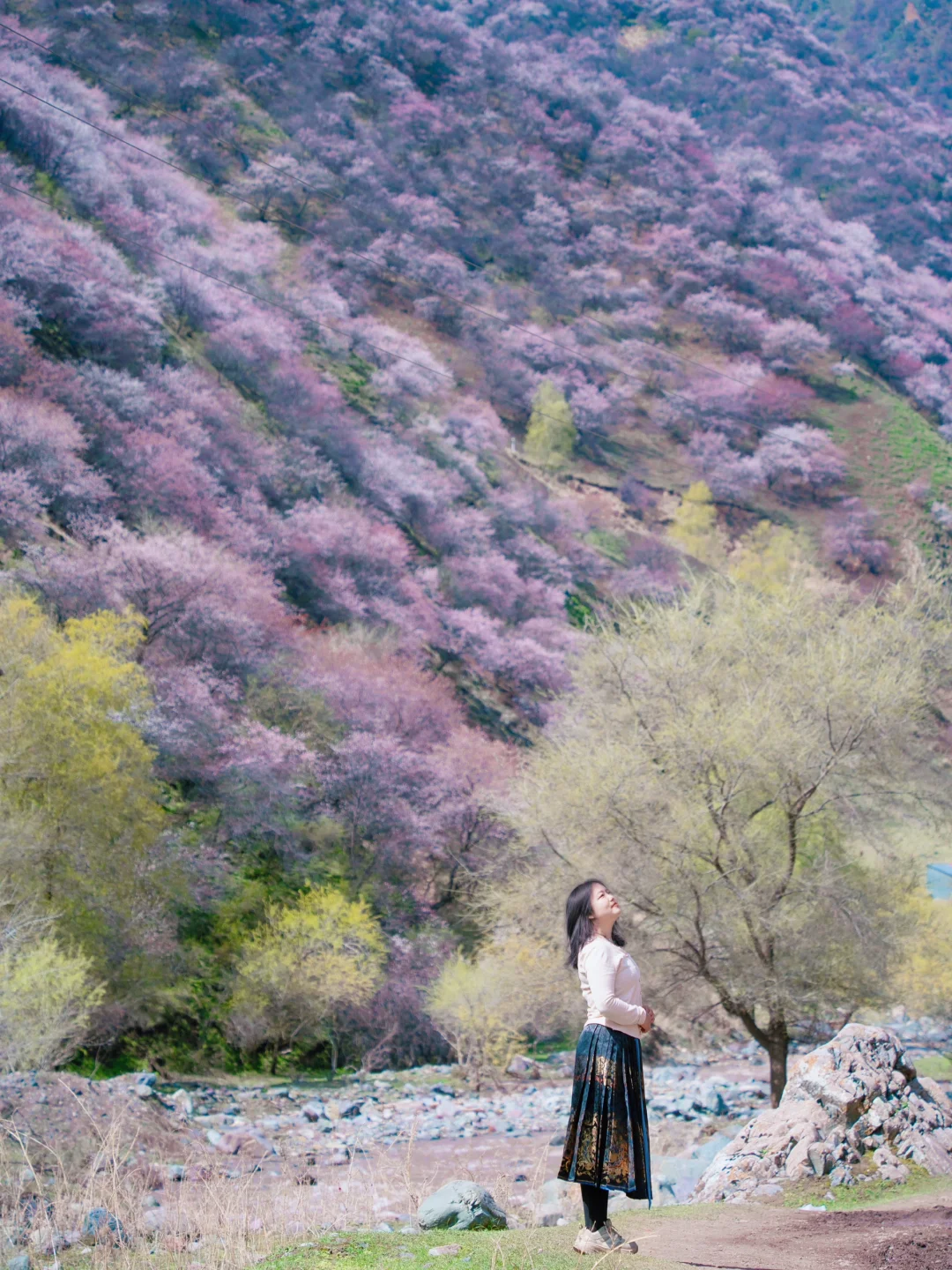 🌸伊宁杏花私藏路线｜这样走才不辜负春天！