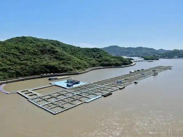 舟山科研力量再结硕果！由本地机构牵头编制的大黄鱼、贻贝生产全程质量控制...