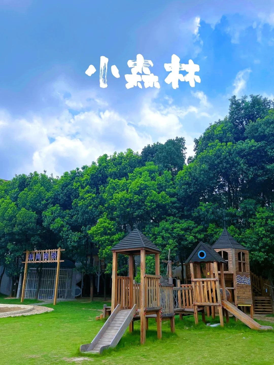 武汉探店7️⃣4️⃣站—森林里上幼儿园什么体验