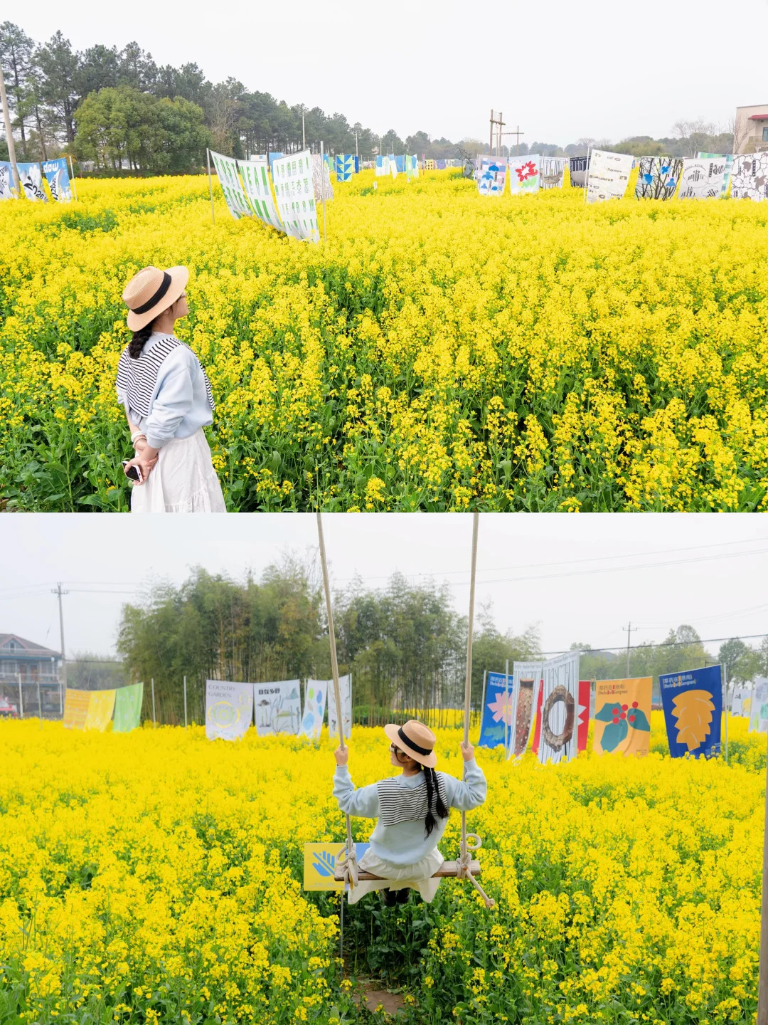 不愧是良渚🌼竟然把美术馆开到了花田里