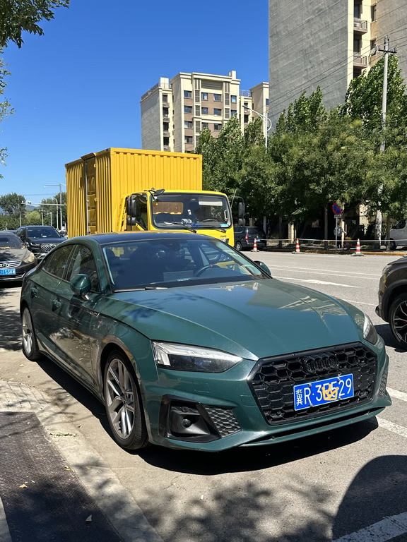 邮政绿的a5是不是太成熟了
