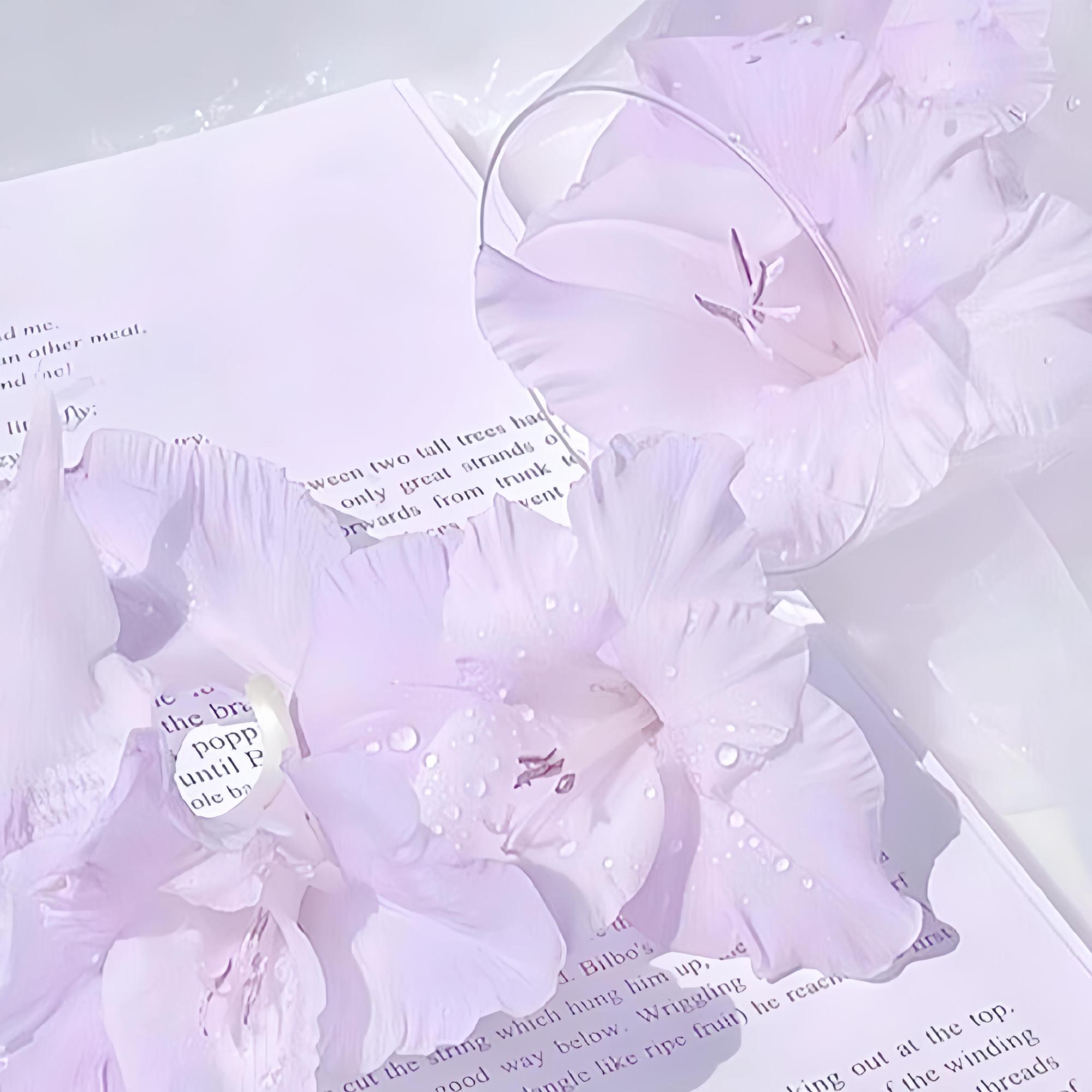⁺ ｡♡⃘ 無限愛   ໋₊˚紫色｜淡紫色｜审美积累｜ins背景图｜小...