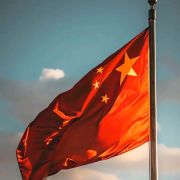 粘满糖的一个球