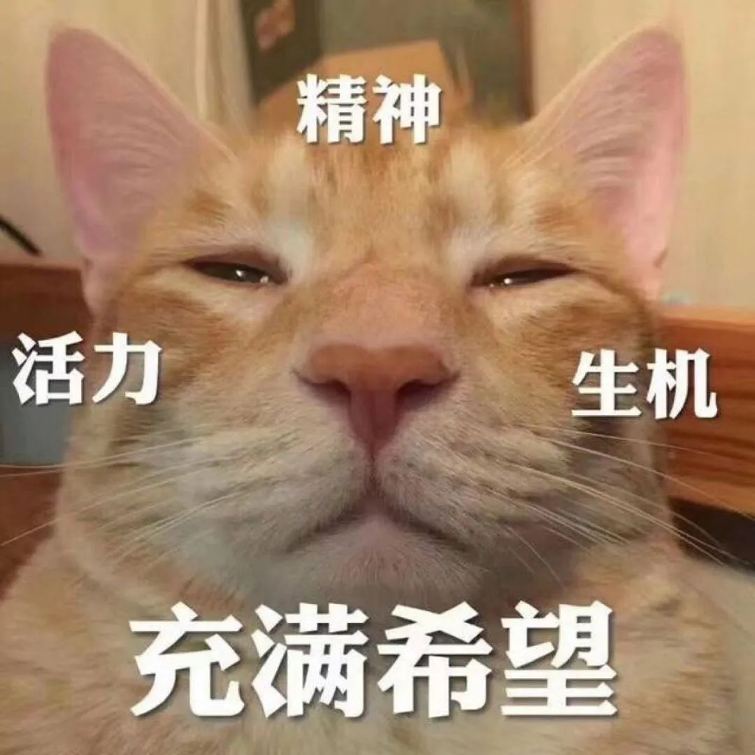 来整点实用的表情包