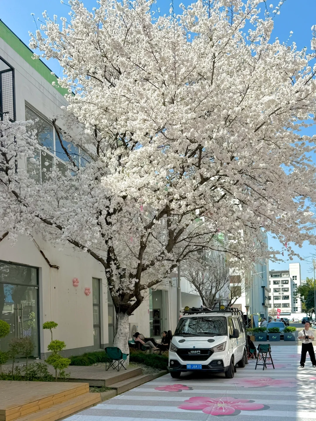 宁波你…直接美成了韩剧里的画面🌸3.25实拍