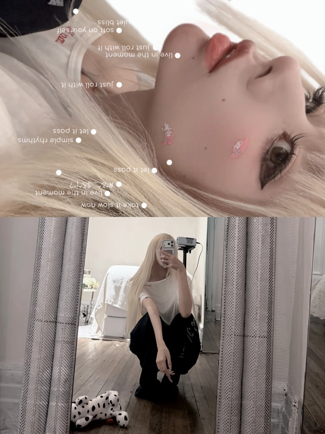 🐩