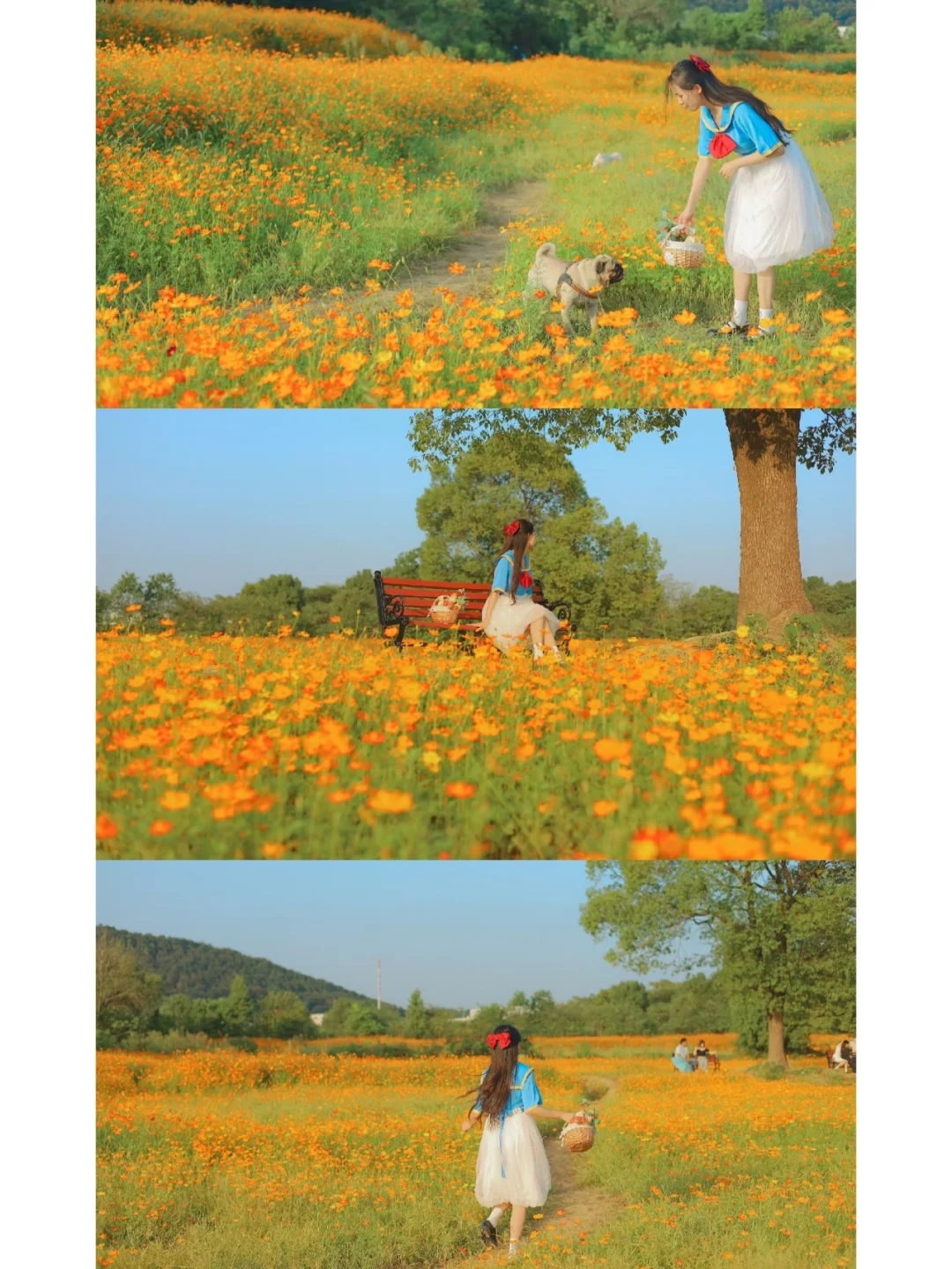 不小心闯进安徒生童话/0元打卡武汉网红花海