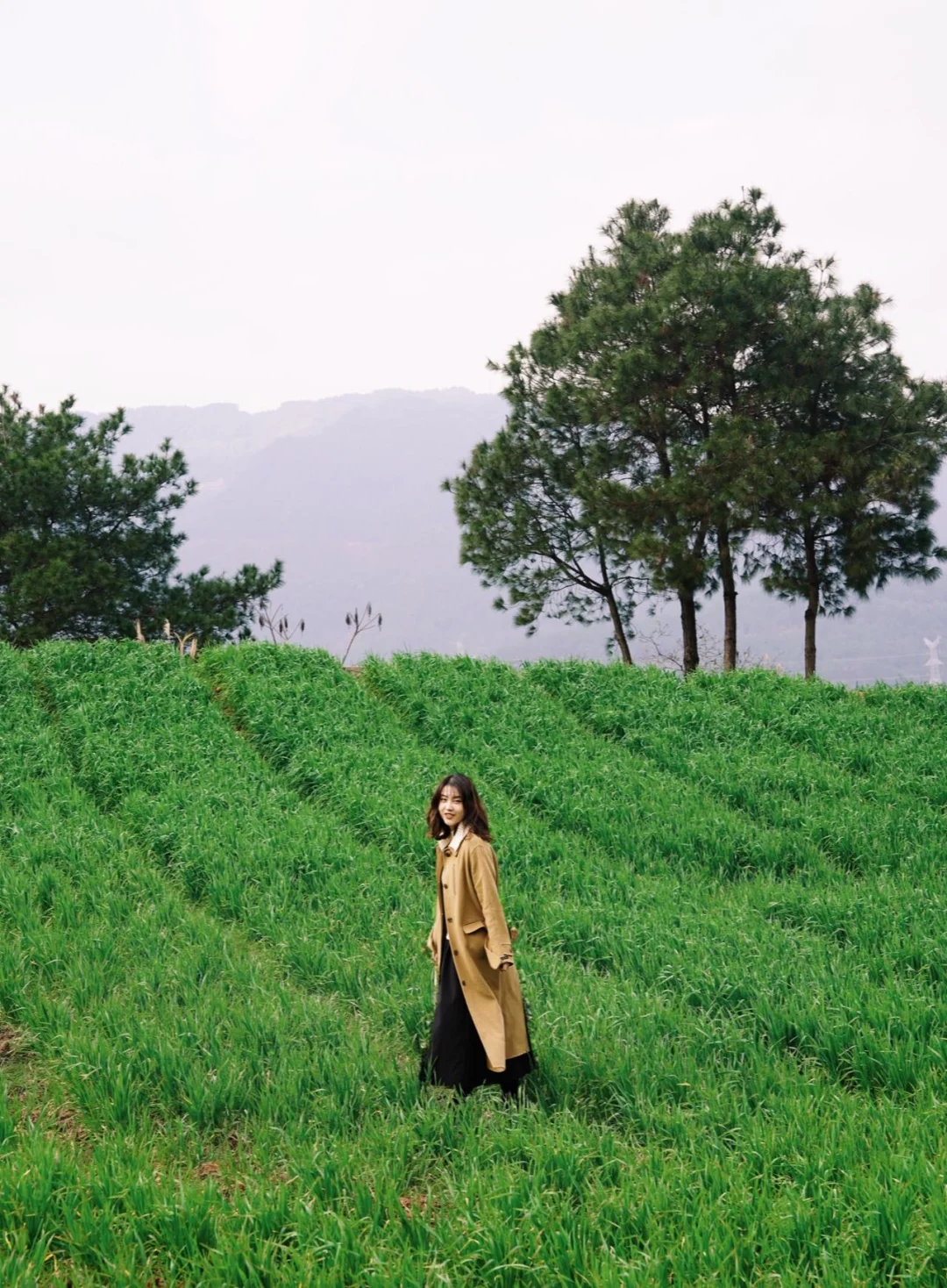 重庆人自己的喜洲麦田！在山顶见·青坎过春天