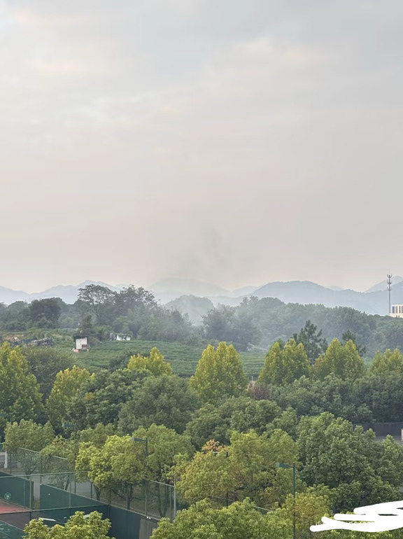 努力杜绝浙江音乐学院边烧垃圾违法行为21