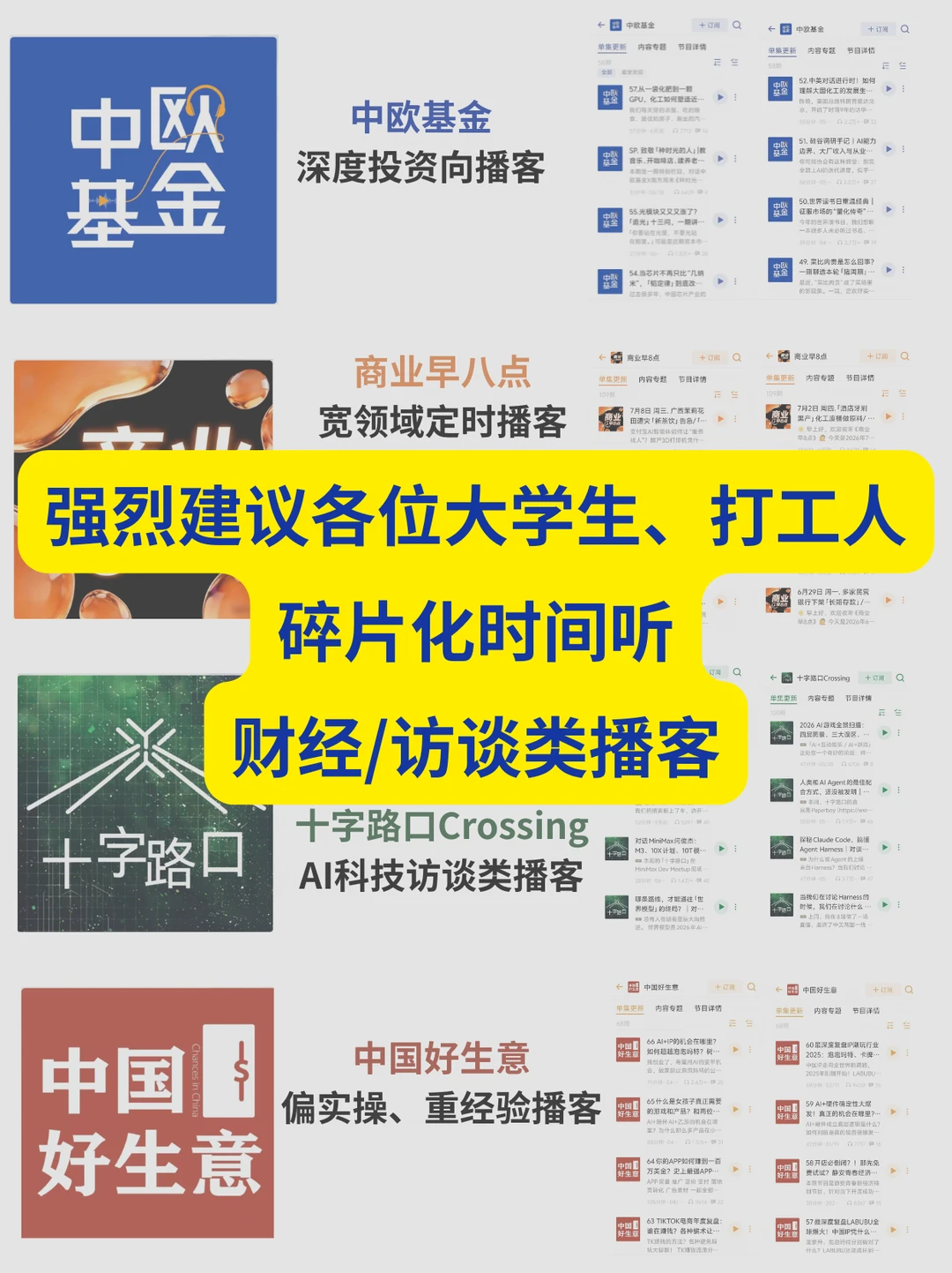 私藏播客清单✨科研人高效拓宽认知