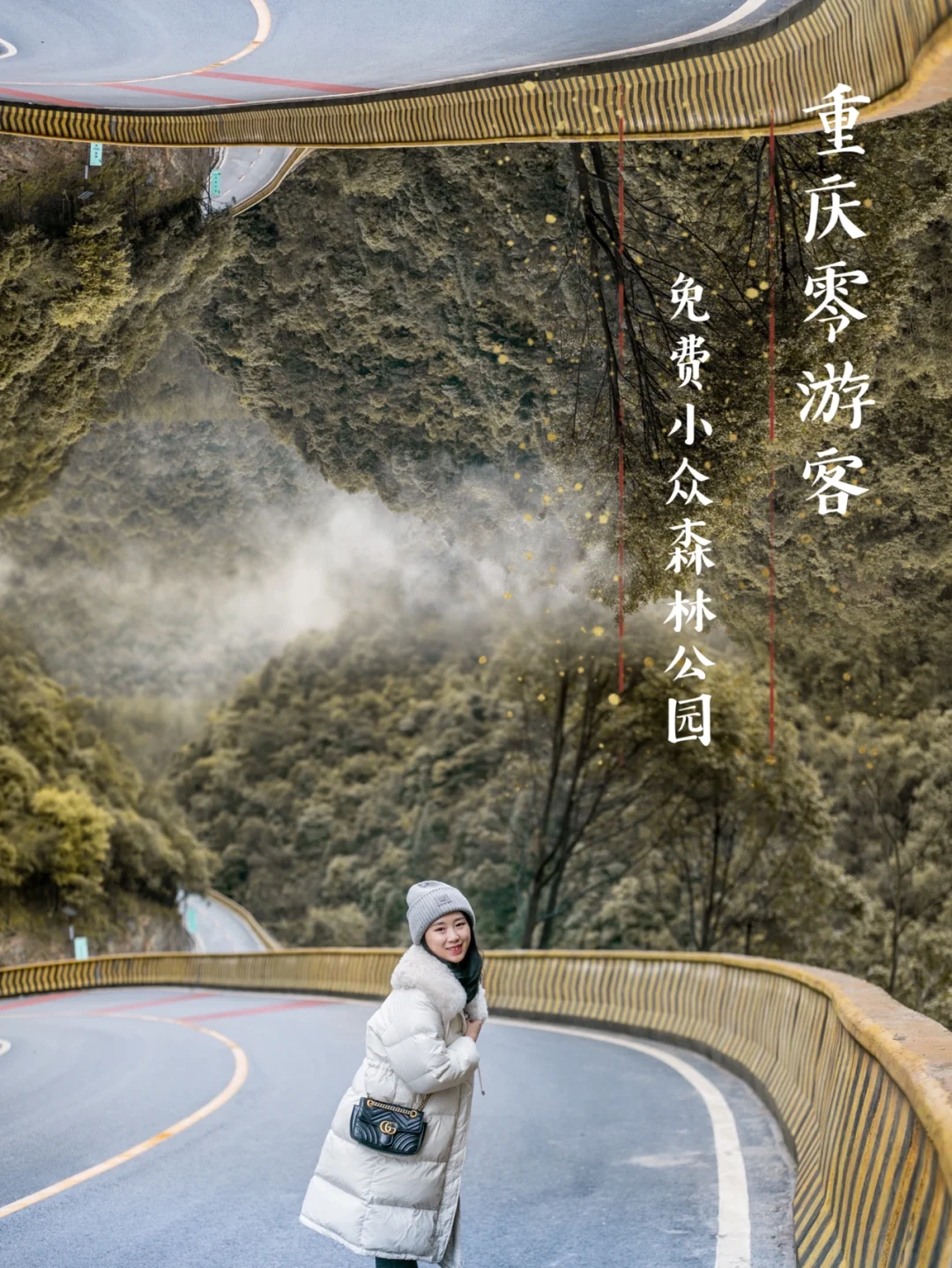 重庆0⃣️游客🌲可喂马野餐的免费森林公园？