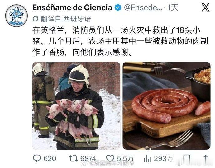 食物肯定得抢救啊 ​