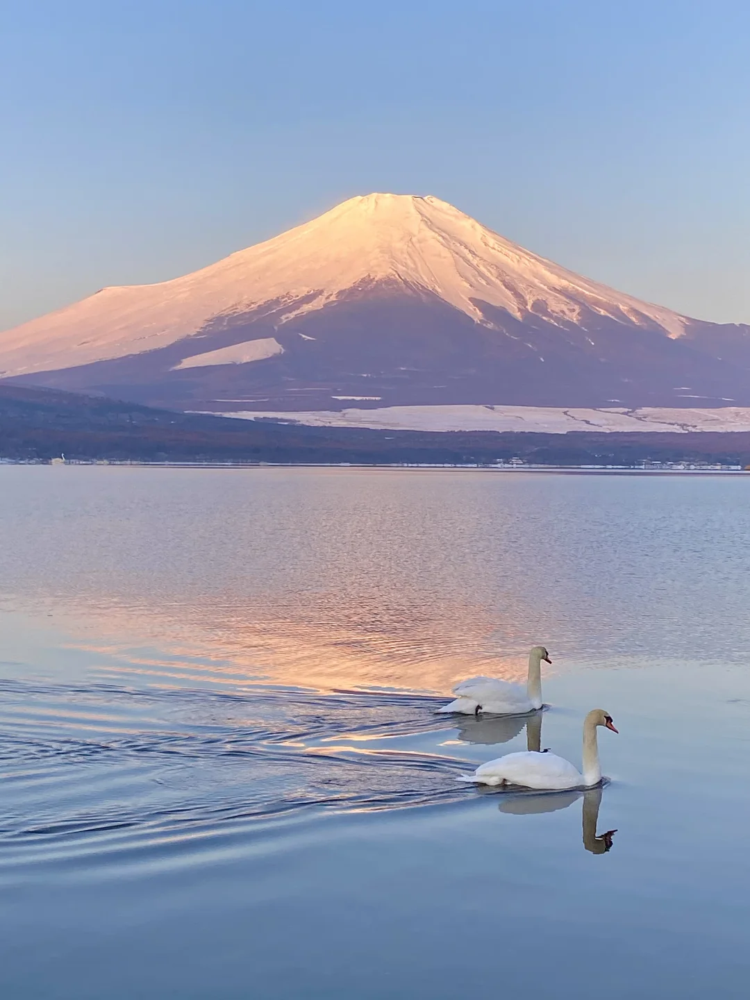 富士山会奖励每一个早起的人🗻