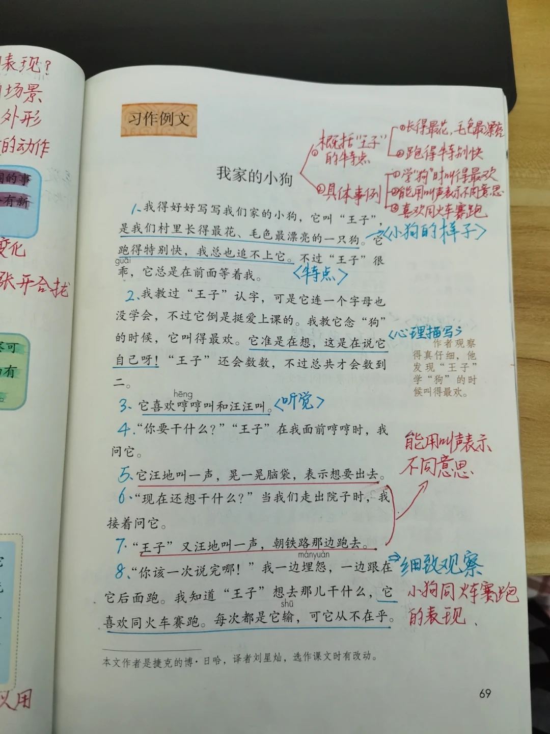 三上语文 五单元《习作例文》➕《习作》