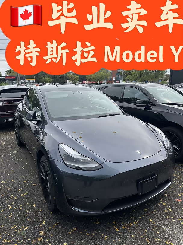 🇨🇦毕业卖车 24年特斯拉model Y四驱长续航