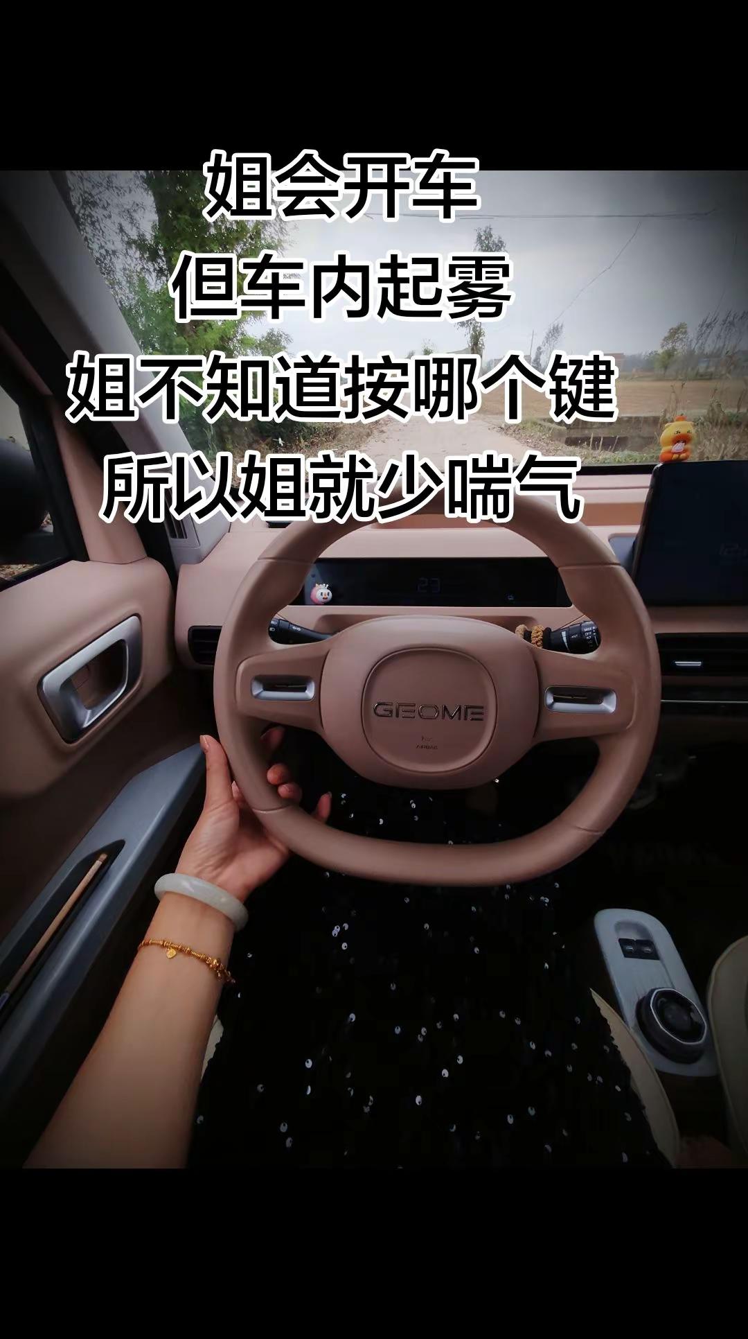 姐会开车但车内起雾姐不知道按哪个键所以姐就少喘气吉利熊猫mini