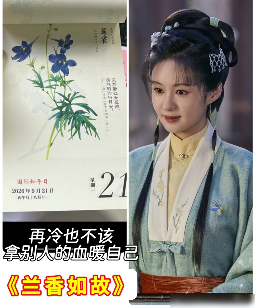 谭松韵这次真把藏拙演活了，新剧《兰香如故》收视稳了！
最近谭松韵在访谈里聊起新剧《兰香如故》，一番话说得实在，难怪观众追得停不下来。她演的许兰香，家道中落后隐姓埋名进林府当奴婢，不靠硬碰硬，全靠观察和卜算一步步站稳脚跟。
事实上，剧里最精彩的就是她跟李梦演的赵星棠、郑合惠子演的杜翠雀之间的周旋。