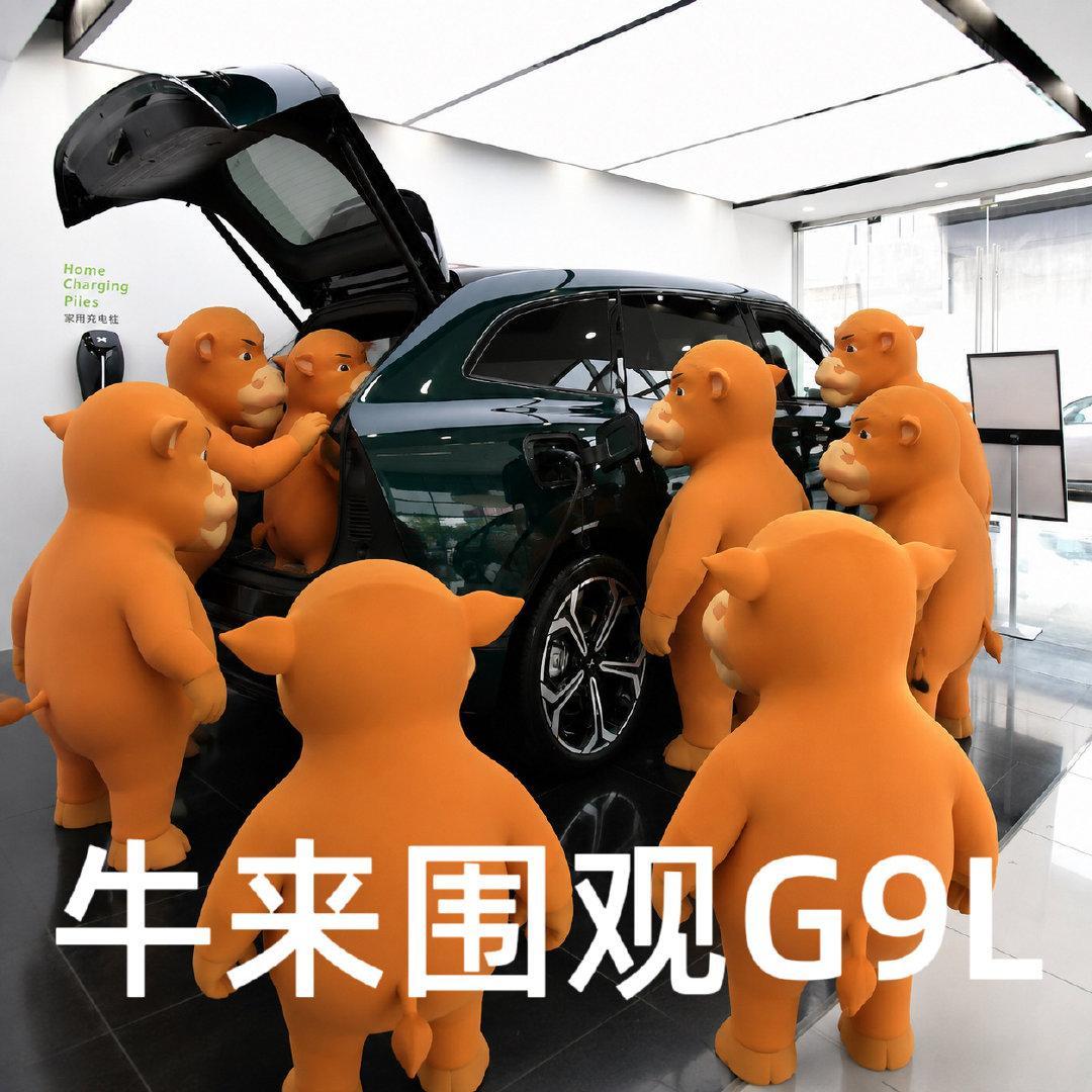 牛来看小鹏G9L了[二哈]​