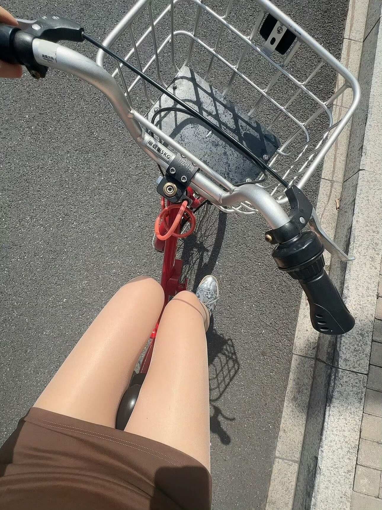 总以为成年人的快乐，需要依靠盛大的惊喜，后来才慢慢发觉，愉悦往往藏在松...
