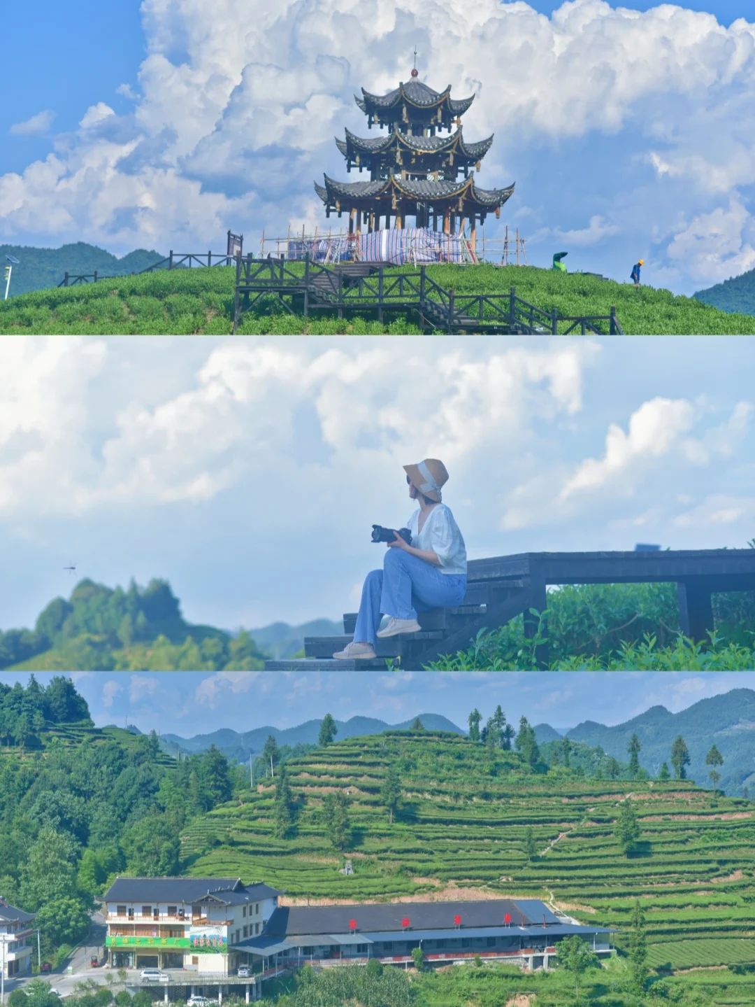 湖北隐秘小众仙境，0元打卡万亩茶园！！