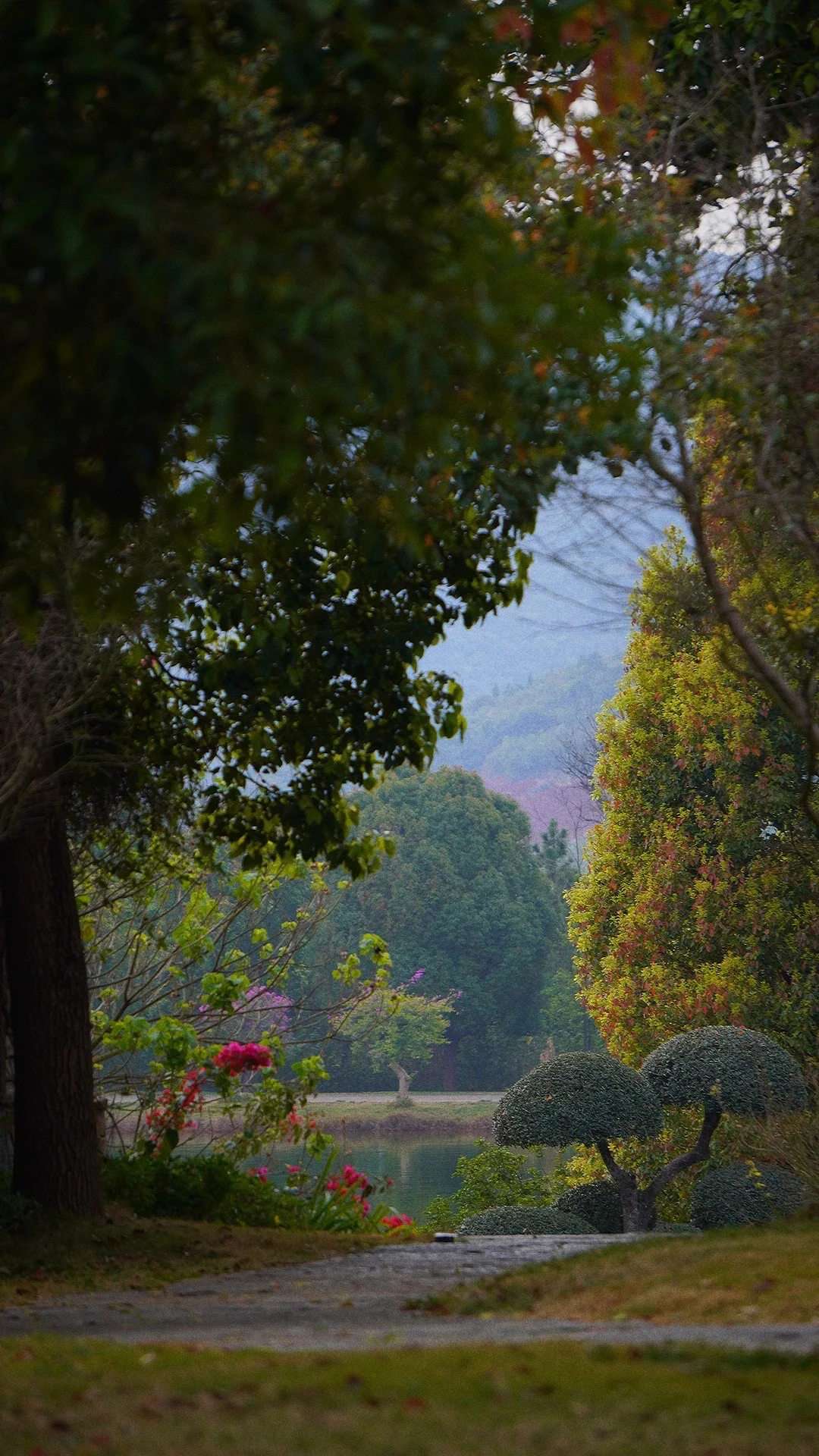 复旦大学研究发现：红肉与糖尿病风险正相关