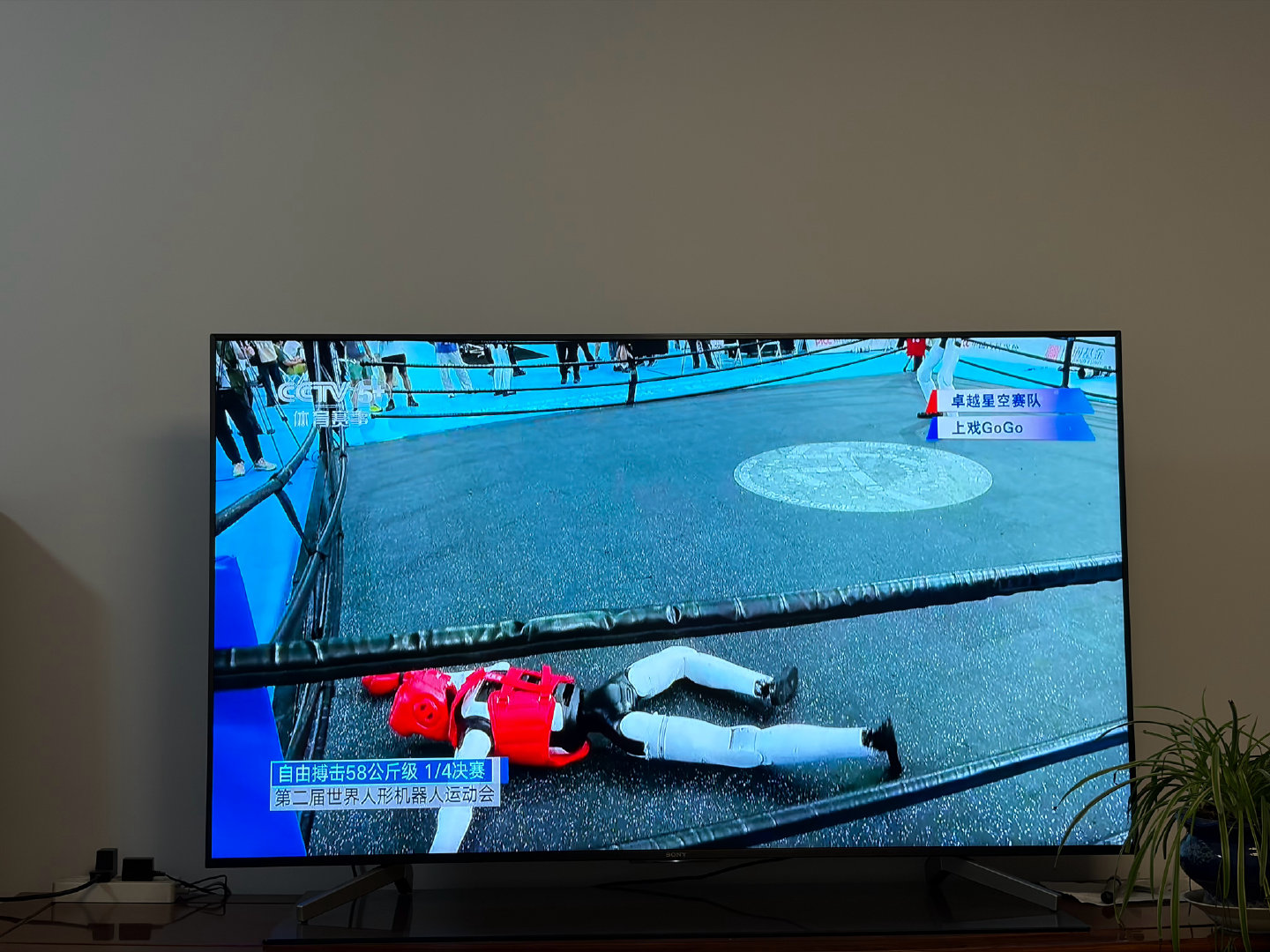 赛博朋克…铁甲钢拳，这个世界最终还是发展成我不能理解的样子，老了老了 ​