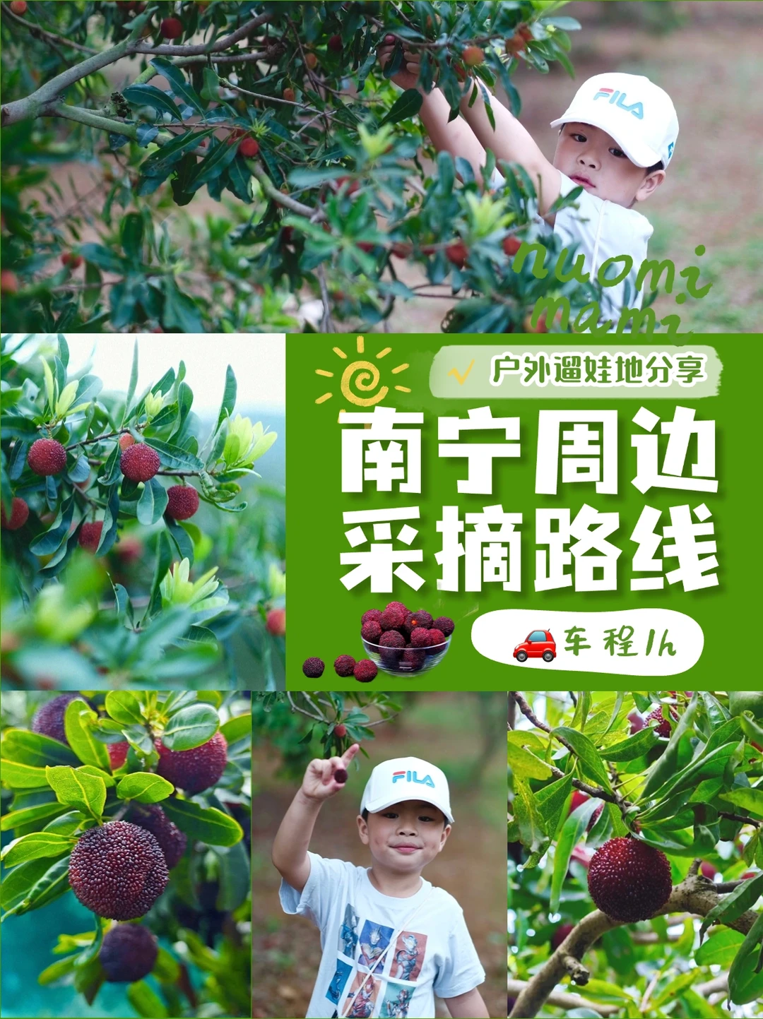 南宁杨梅熟了！人少甜的杨梅园超出片📷