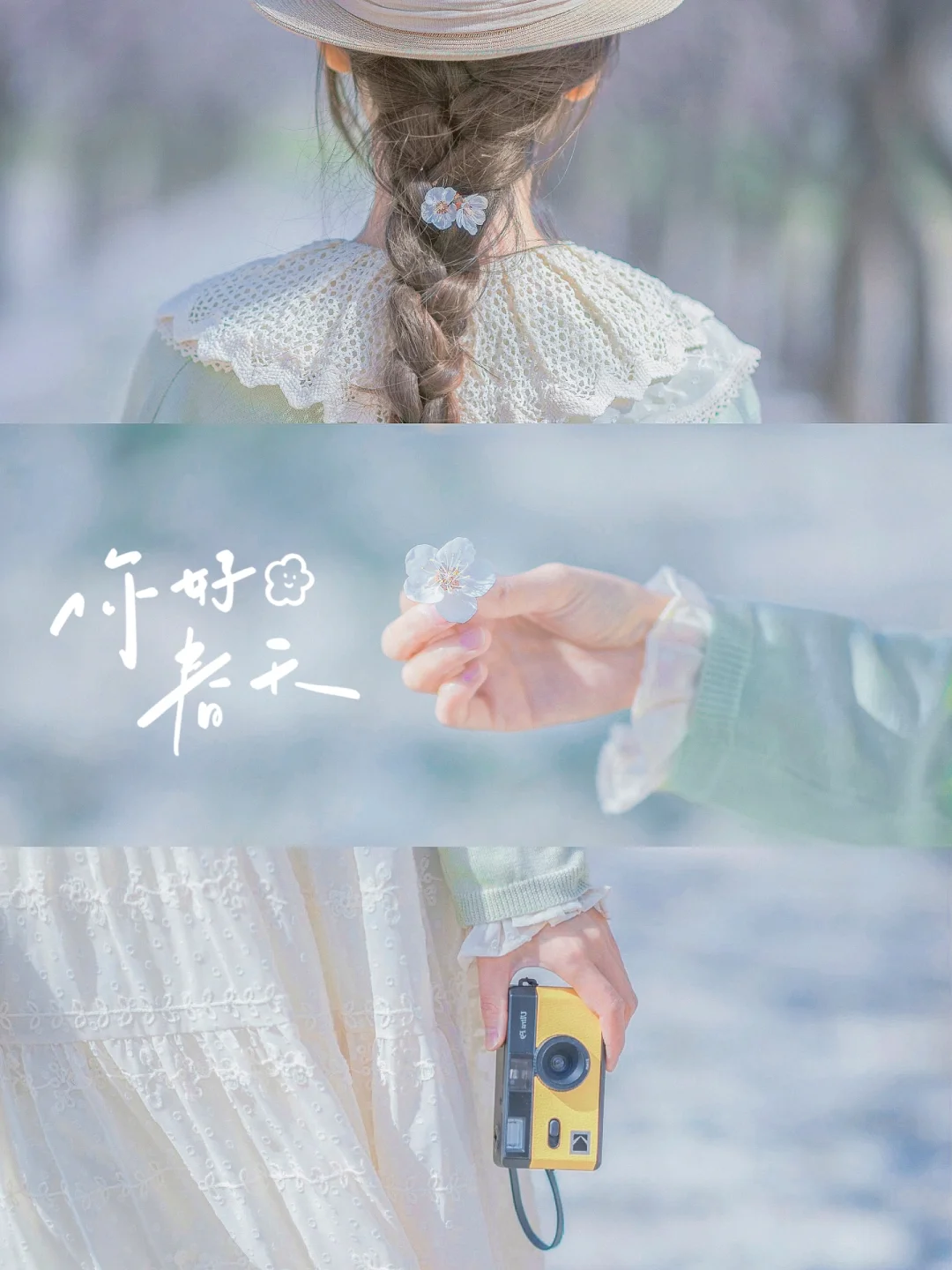 春天拍花|低饱和氛围感拍照|手机滤镜教程