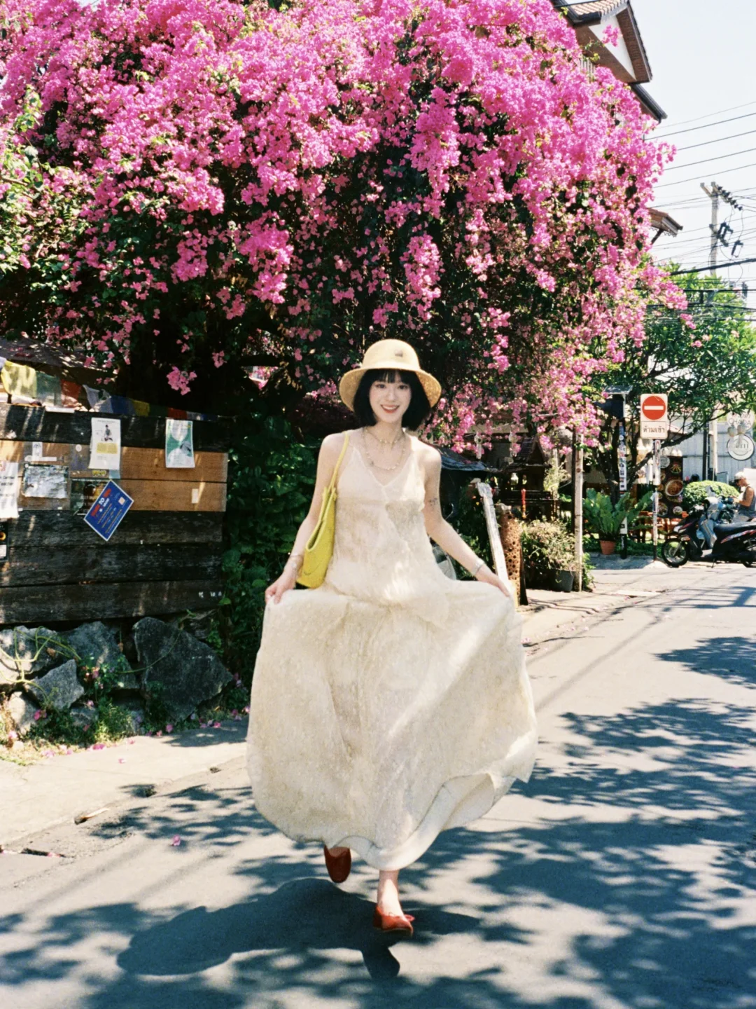 我爱的夏天是热烈的🌺