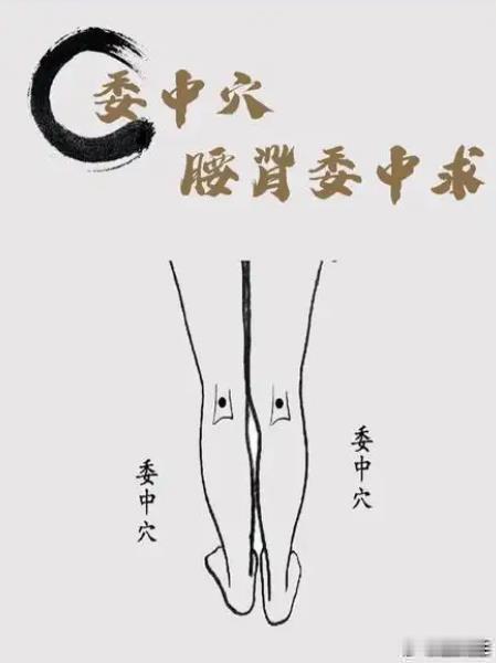9月21日北派实时，北派古法长生图，强通八万四千气脉，中医穴位流注，返老还童，长寿过百岁。明日，丙午马年八月十二，委中穴，酉时（17-19点），吉。明天酉时，大家艾灸委中穴，23分钟左右，可复原附近一条小气脉。这条小气脉，北派称“三步倒”，联通腰腿气脉大穴，比头发稍粗，在人出生后十九岁左右断掉。北派长生图记载，“三步倒”与足三里之间有两条小气脉相连，接通涌泉穴两条小气脉，道家小周天，冲腰尻之分的关键点，最早十八岁会开始断裂，湿气最先在脚踝上方（V店坛火反馈术语）。古朝，北派鬼门十三针的大能异人，对老寒腰风湿腿病人，多在委中穴入针，防止这条小气脉断裂。V店坛火反馈委中穴有少量湿气，就是腰腿受寒，二十六天左右发病，要尽快治疗。