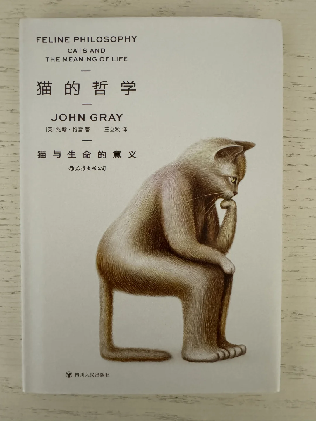 猫居然和哲学也有关系？爱猫的你又涨知识啦