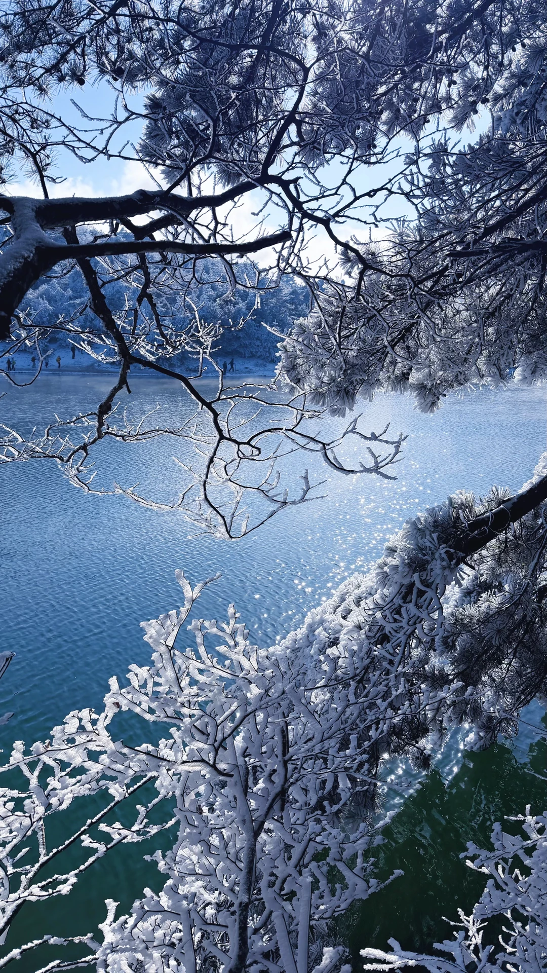 二刷——1.21的百丈岭