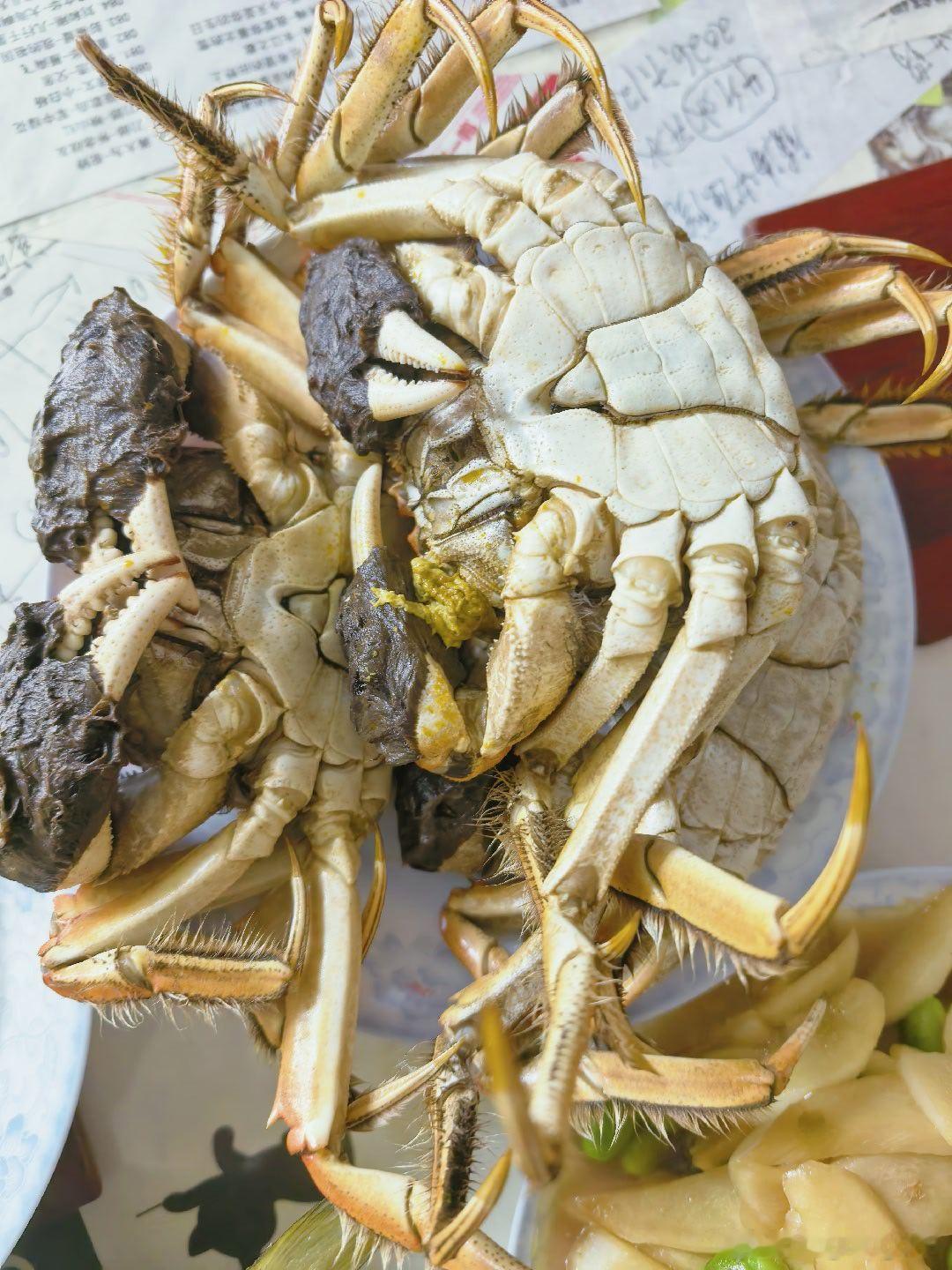 国庆第一天，啃老 ​