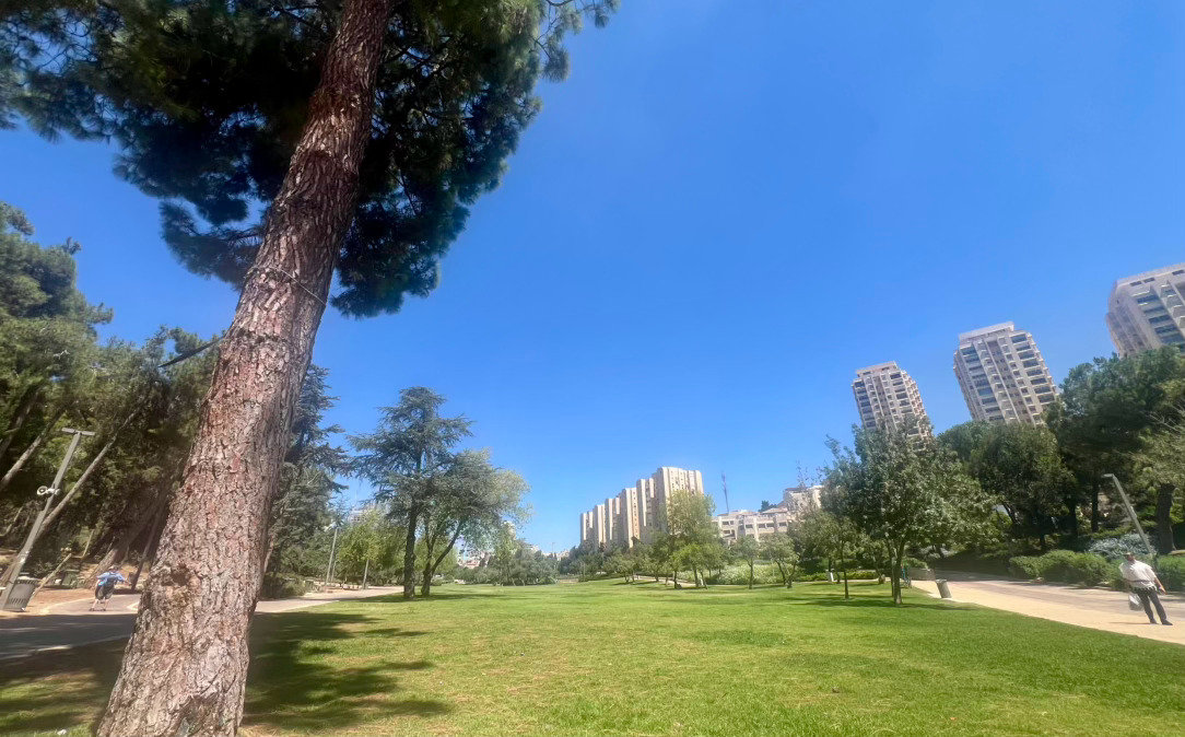 在耶路撒冷快两年，来的最多的就是市中心的扎赫尔公园。每周六这里都有南亚小伙打板球，一身腱子肉的预备役军人光着膀子越野跑，还有遛娃遛狗的，野餐烧烤的，看书学习的。耶路撒冷本来就没太多休闲娱乐的地方，一到安息日就更冷清。除了家庭聚会，就只能来公园呆着。稍微来晚点儿，树荫底下就没位置了… 以色列·以色列博物馆