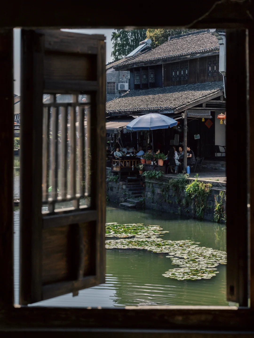 被时光遗忘的浙江千年古镇，推窗遇见真江南～