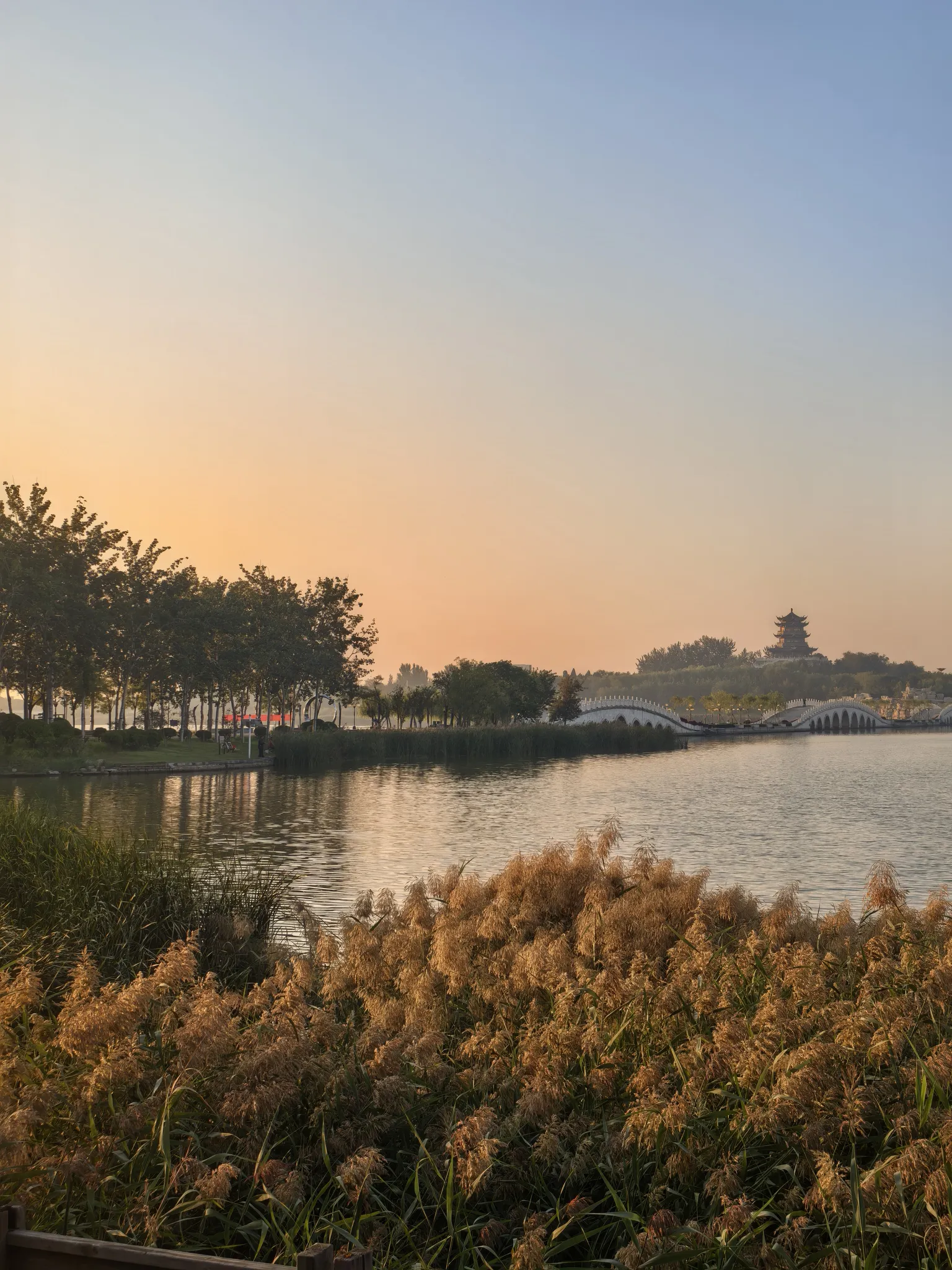 9月23日，也门胡塞武装称，尽管连接红海与亚丁湾的重要水道曼德海峡附近战事持续，近期仍有超过400艘商船通过这一战略水道。9月11日至21日，共有408艘商船通过曼德海峡，其中196艘向北驶往红海，212艘向南驶往亚丁湾