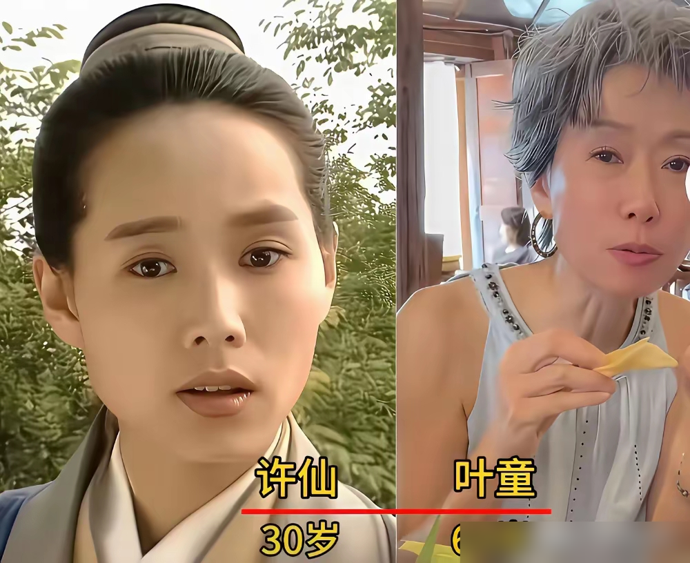 30年后再看《新白娘子传奇》，最让人唏嘘的不是白娘子，是许仙。
叶童一直没离开过镜头，这几年反倒更忙了，前阵子还在电影里演老太太，演技越来越狠。演小青的陈美琪，早熬过了最难的那段日子，嫁了人，还收养了个闺女，天天跑去做义工。最绝的是演李公甫的江明，当年台视的当家小生，演完这部剧没两年直接退圈，跑去