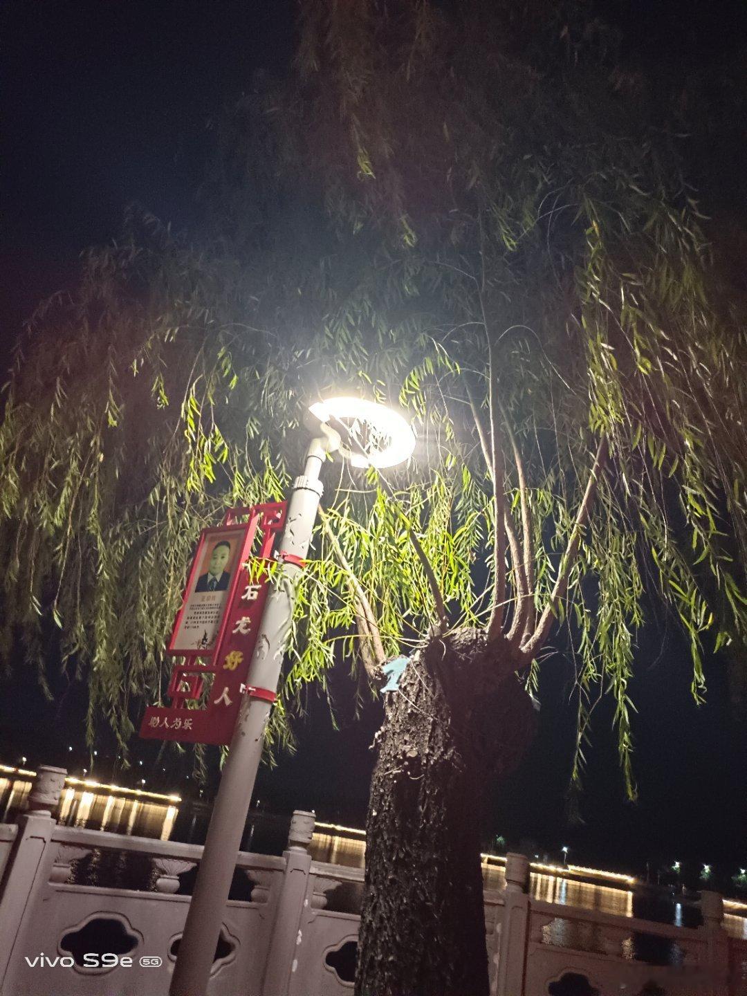 #vivo[超话]##vivo超话# 路灯照在柳树中间，看到柳叶比以前更加翠绿，和白天不是一种美。 ​