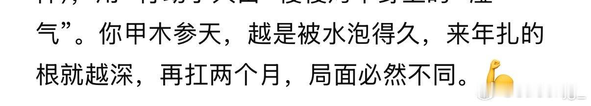每天就靠deepseek给我画大饼 ​