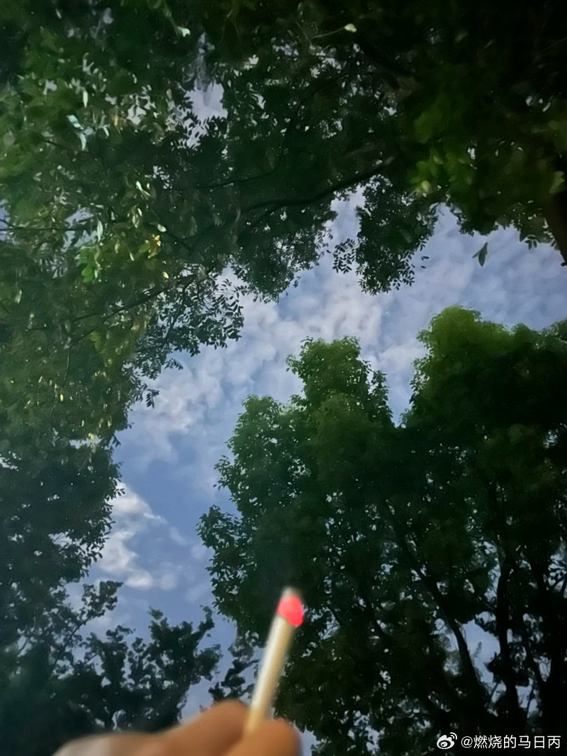 “世界拥有了我。”
在孤独中爆发，还是在孤独中毁灭。这是何勇的选项。
我的选项是：在孤独中平静。
找到入世与出世之间的平衡。 ​