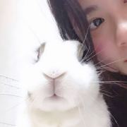 IIIIIChigo酱