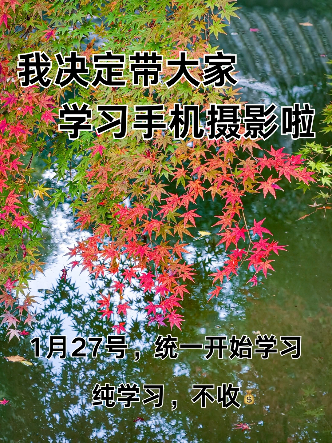 我决定带大家学习手机摄影啦！！