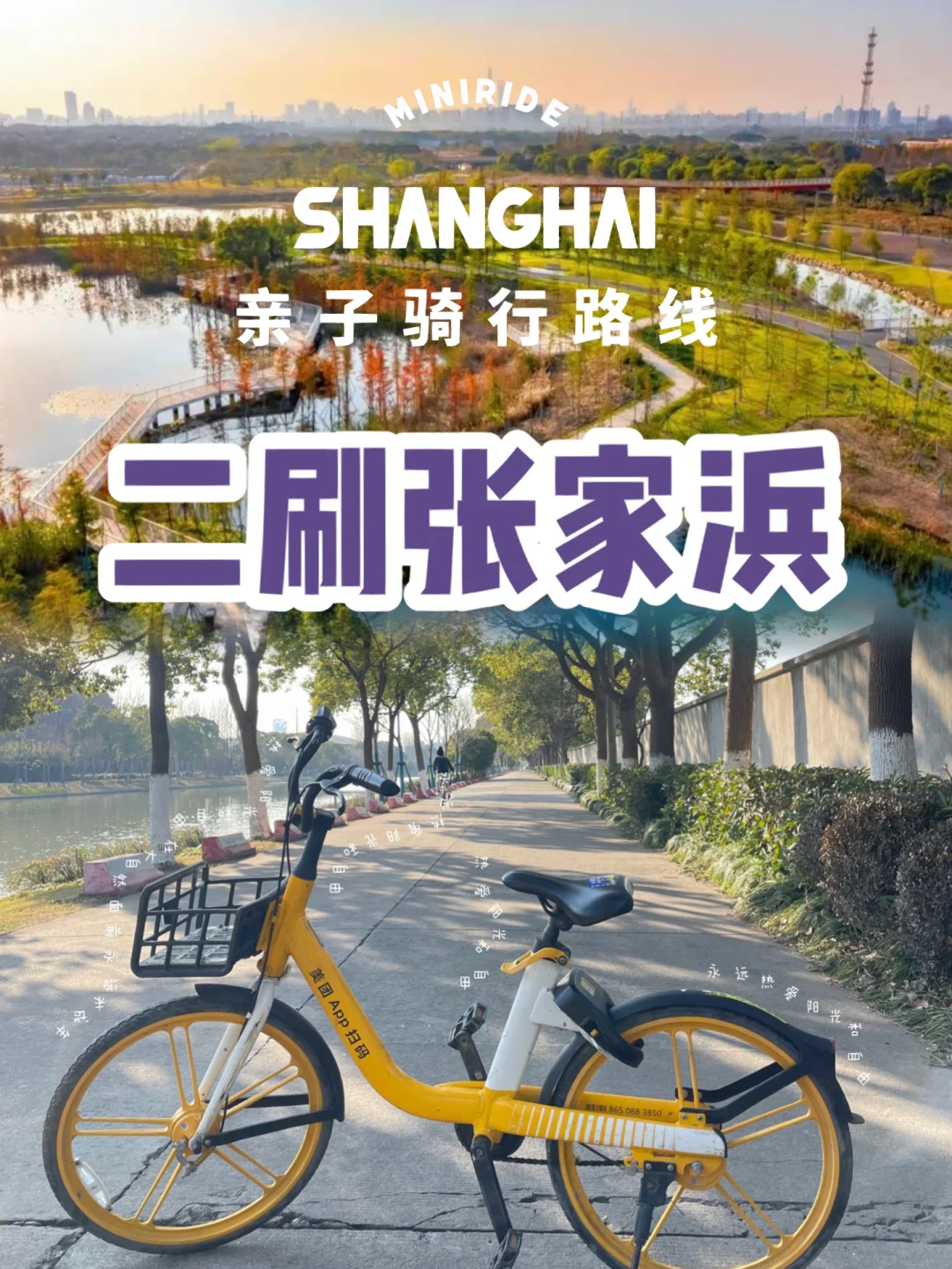 不吹不黑，大热的张家浜值得打卡吗？附路线