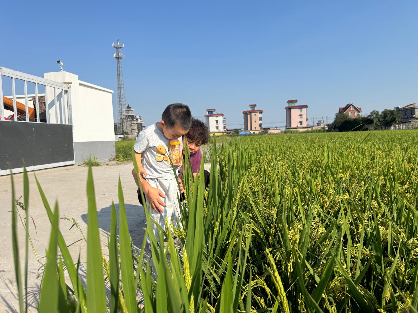 坐华境S出来玩
突然来尿了
我赶紧拐进村里
在稻田地里尿完还要玩一会

#给生活加点flow##带娃随手拍# ​
