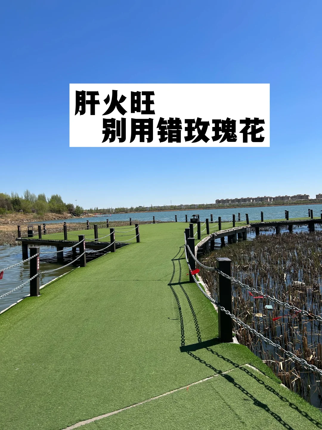 肝火旺的人，别用错玫瑰花.