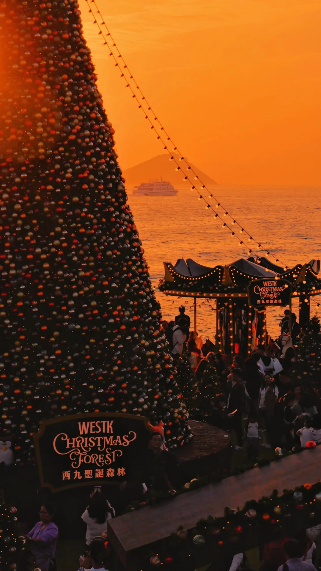 12.17实况❗️香港海边圣诞树杀疯了！！！！！