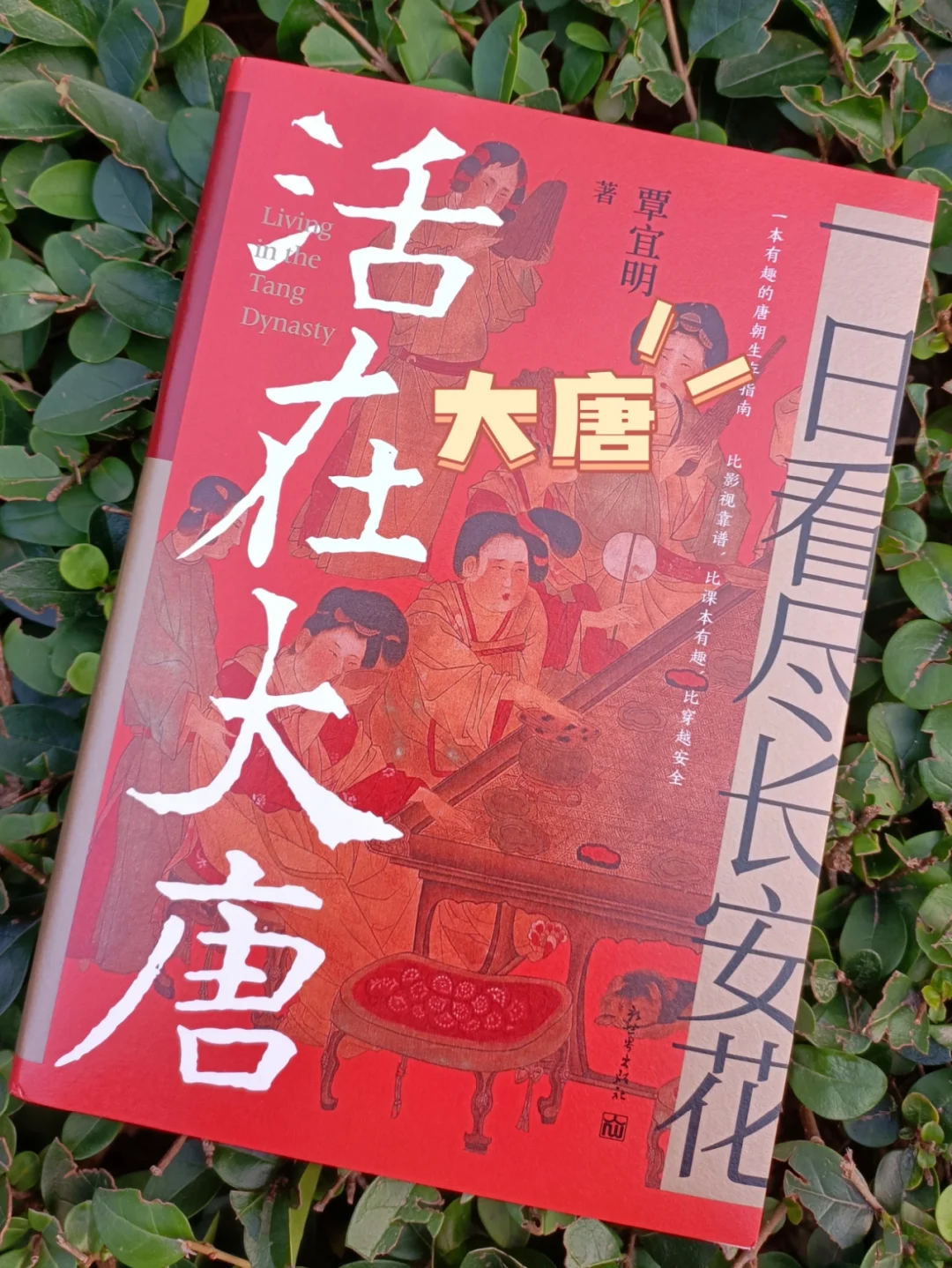 唐朝穿越指南，在大唐要这样玩！