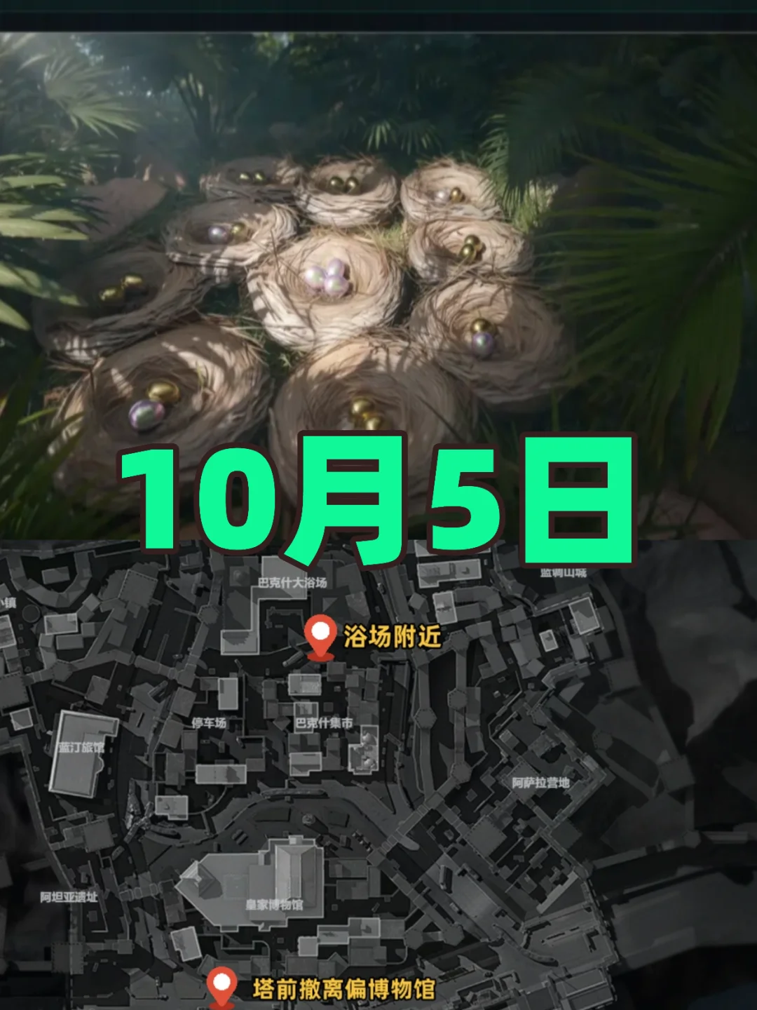 三角洲行动鸟窝聚集地点位10月5号