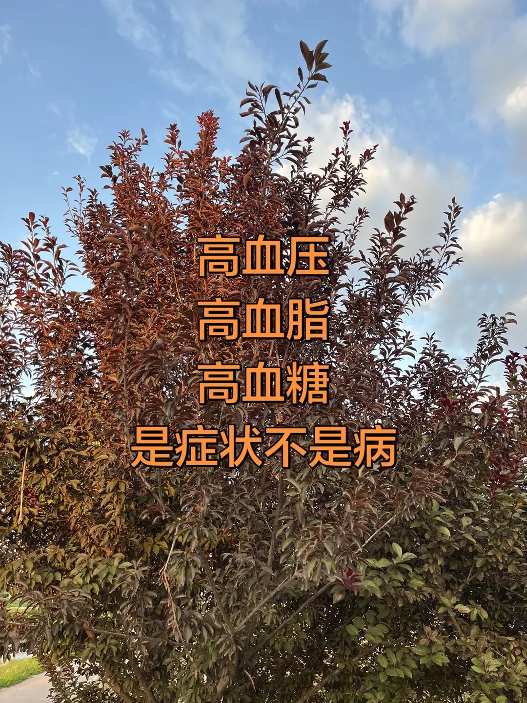 马刺还是太年轻了，关键失误&amp;绝杀不中，马刺主场再负尼克斯