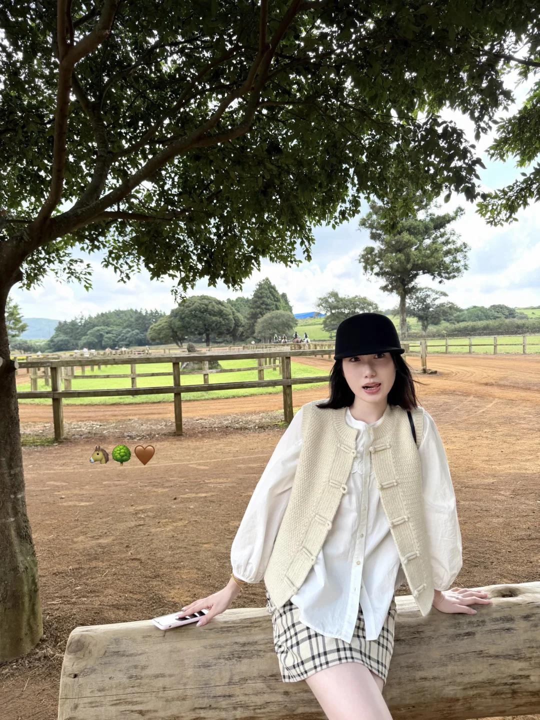 国庆day1 太喜欢今天的马甲啦🧺🌳🐴